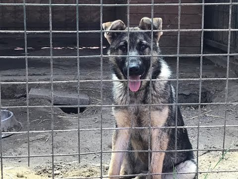 Módja a karcsúsításnak a nyárra