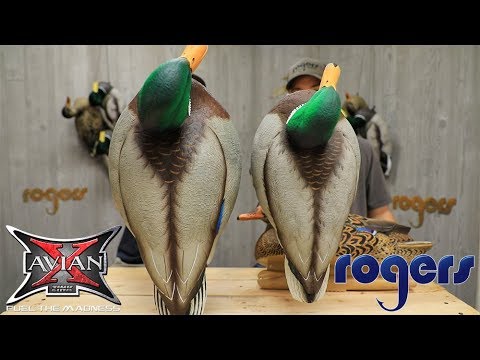 Avian-X Oversized Floating Mallard Duck Decoys