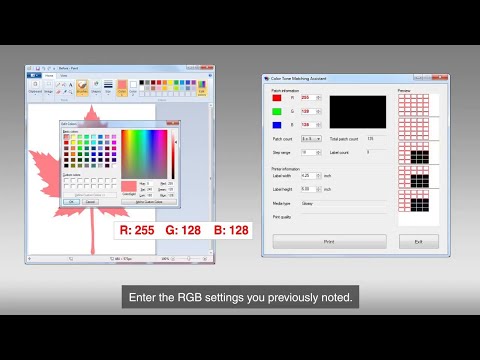 How to Use Color Tone matching Assistant