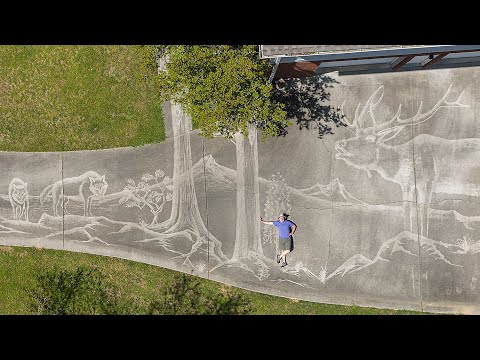 Artist Uses Pressure Washer To Paint Exquisite Wildlife Mural On His Alabama Driveway