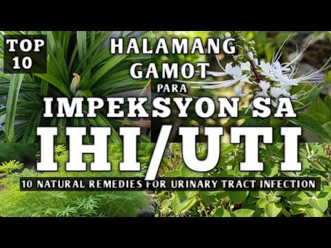 10 Best Herbal Remedies para sa UTI / Impeksyon sa ihi | Halamang gamot sa UTI Urinary Disease