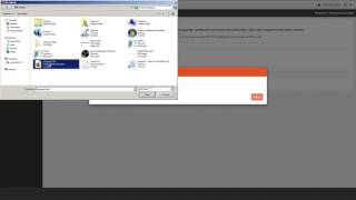 DSS Portal: Upload Maintenance Pages