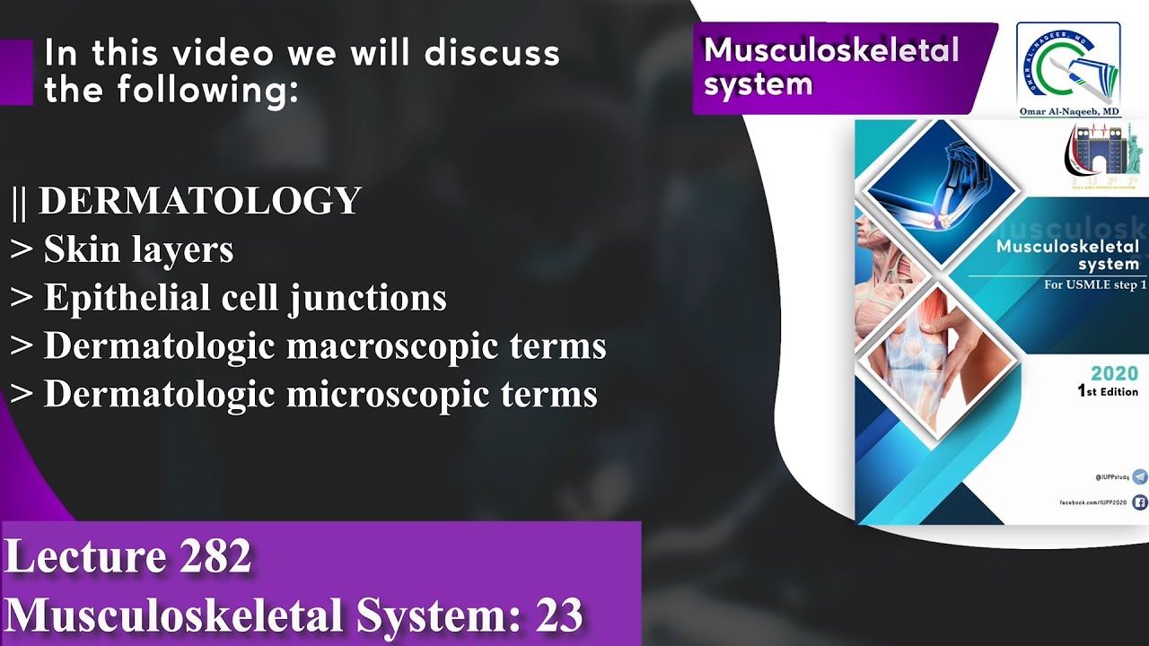 Skin layers | Epithelial cell junctions | Dermatologic macroscopic and microscopic terms