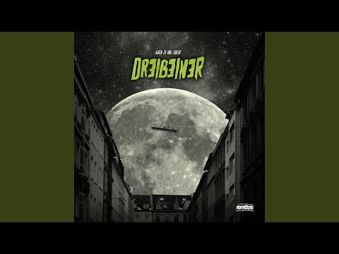 Dr3i 2wei e1ns (feat. Noy Riches, Stef der Crashtest, O-FLOW, Noyland)