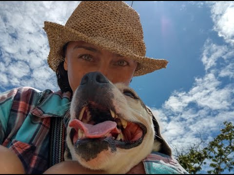 Yaira Animal GoFundMe Support