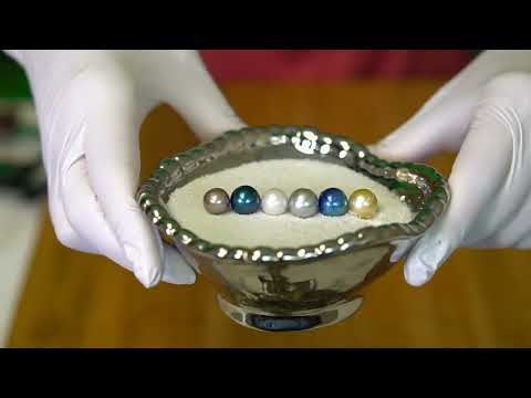 Large PEARLS straight from the OYSTER! (Reveals 18294 18311)