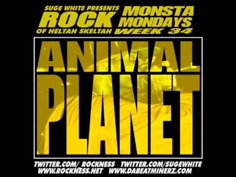 Rock - Animal Planet