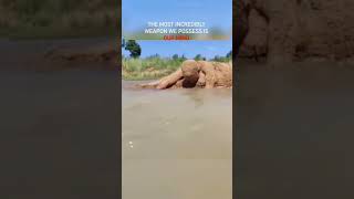 Most powerful weapon ???