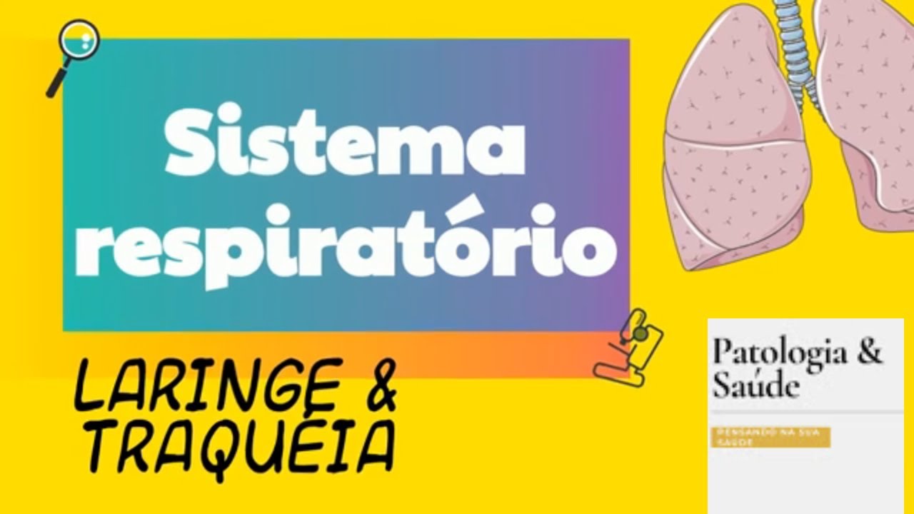 Histologia do Sistema Respiratório - Laringe e traqueia
