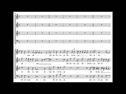 Palestrina: Regina coeli 8vv - Sixteen