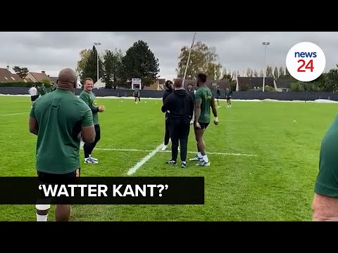 WATCH | Mbonambi in training as racial slur storm subsides