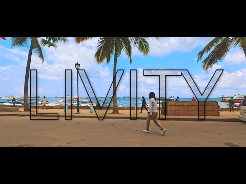Music video - LIVITY by The Last Professor 