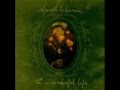 Sparklehorse - Sea of Teeth 