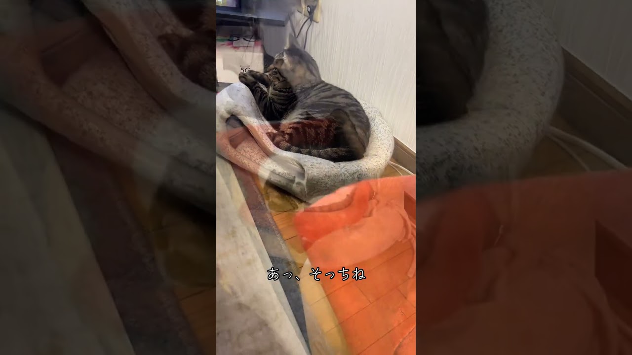 真似しちゃった