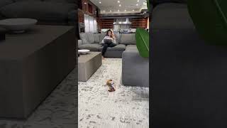 Download lagu The most scariest prank ever on my wife #shorts mp3