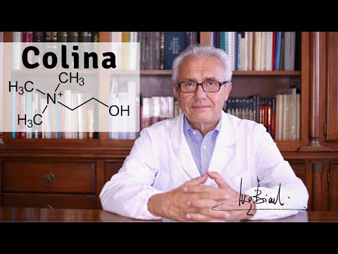 Colina per la Steatosi Epatica e per il Sistema Nervoso