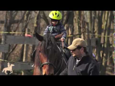 NanaFarm, new intro Logo ...