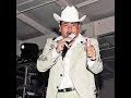 TIGRILLO PALMA EL HUIZACHE