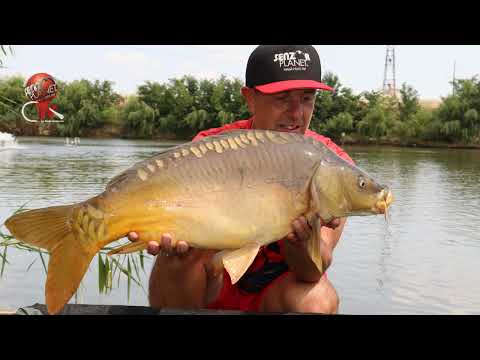 The Hunt for Carp - Ep. 109 - The Best Lures in Duel: Method Brown vs. Competition Brown on Nucetu