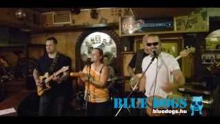 Blue Dogs - On Broadway (George Benson cover)