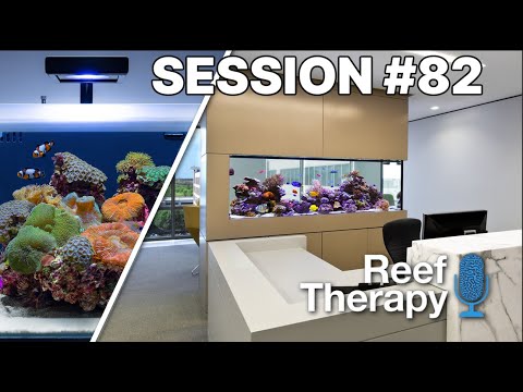 Integrating Saltwater Aquariums into Interior Design with Mike Senske from ADG | #82