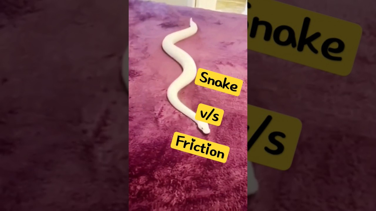 Why is Friction important in life?? | Anupam sir #shorts #friction #physics #science