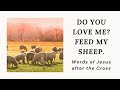Words of Jesus after the cross - #4 Do you love me? Feed my sheep