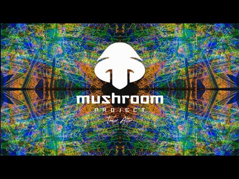 Mushroom Project Israel