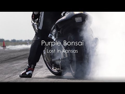 PURPLE BONSAI – Lost in Kansas (Official Music Video - 2019)