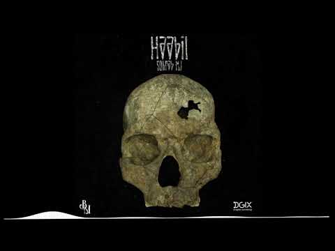 Haabil Diss Sohrab mj be Pishro (Remix Rap Farsi) هابیل دیس جدید سهراب ام جی به پیشرو