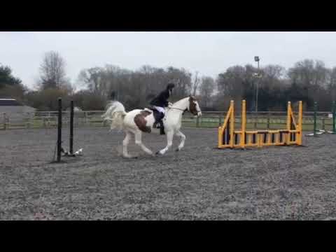 Speedgate Combined Training 25/03/18 - showjumping phase