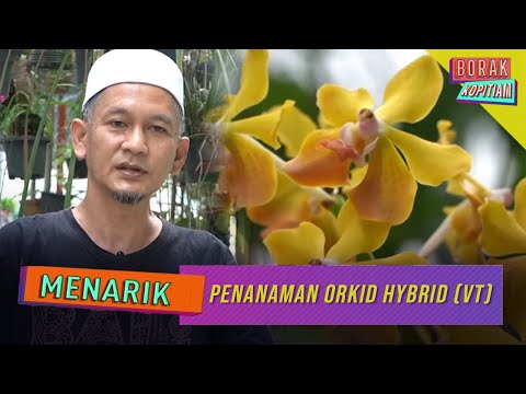 , title : 'Menarik: Penanaman Orkid Hybrid (VT) | Borak Kopitiam (13 Mac 2021)'