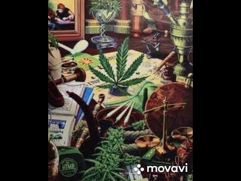 Dalliance - Havana (Official Audio) 😘😘😘