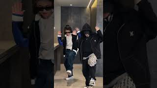 Download lagu The twins version is back  [Tiktok Dance] mp3