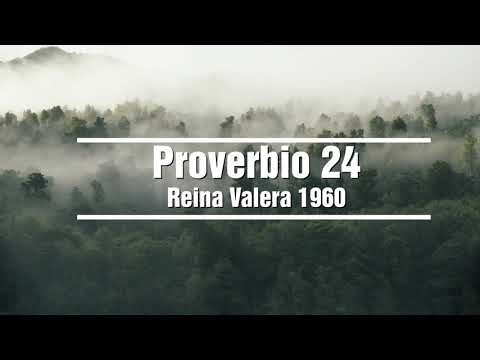 PROVERBIO del dia 24 - RVR60 - Reina Valera 1960 - Sabíduria ante todo