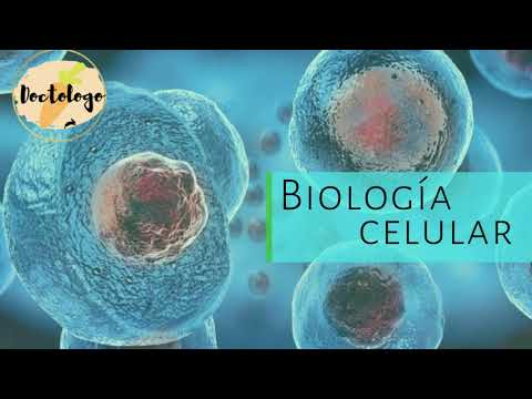 BIOLOGÍA CELULAR Y MOLECULAR | ¿QUE ES LA CÉLULA? |DOCTOLOGO🥕