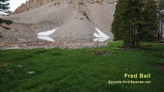 Great Basin National Park - The Hermit Thrush (Hike with Your Ears) gameplay video by OllieF, 5:02 duration