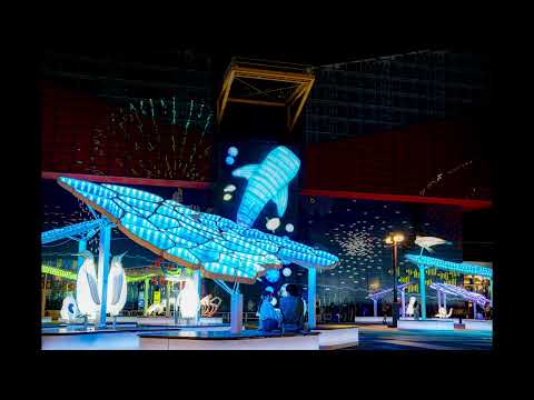 【海遊館】イルミネーション ”Namima”