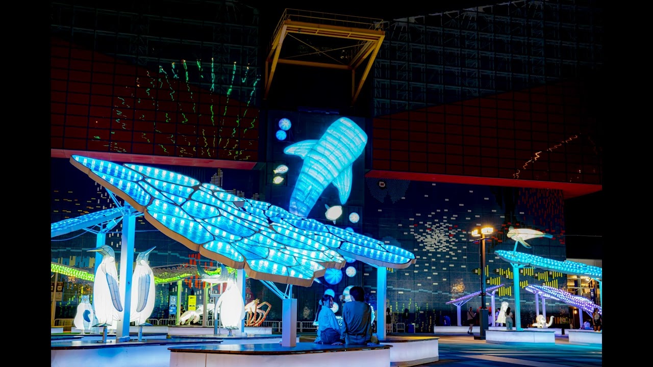 【海遊館】イルミネーション ”Namima”