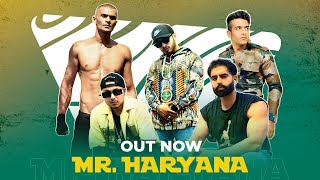Mr. Haryana song artwork