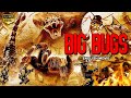 BIG BUGS - Hollywood Action Full Movie | Jack Plotnick, Sarah Lieving | English Movie