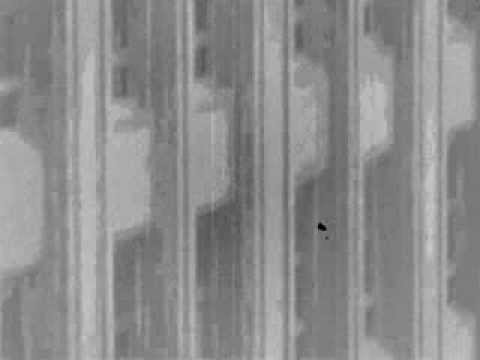 dreamlogicc - bliblublo (2008)