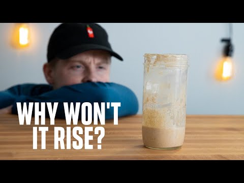 HOW TO FIX YOUR SOURDOUGH STARTER | Troubleshooting common issues
