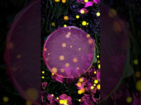 Breathing Break for Stress Relief