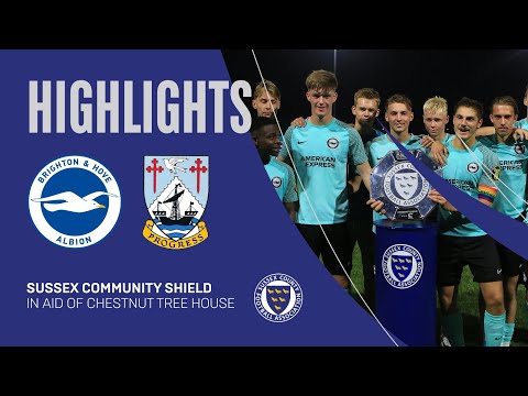 Brighton & Hove Albion vs. Littlehampton Town - 03-08-22