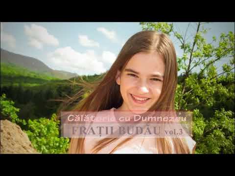 Călătorie cu Dumnezeu - Frații Budău vol 3