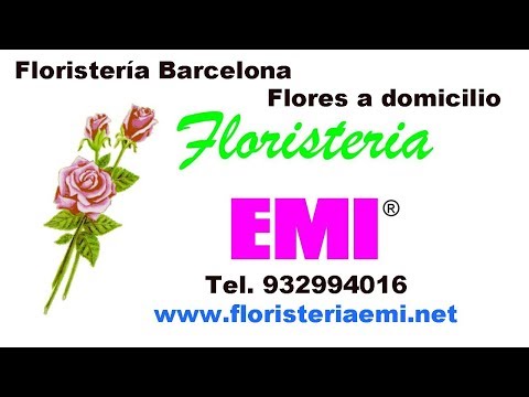 🌹 Floristería Barcelona. Entrega GRATUITA de 🌷 Flores a domicilio Barcelona 💐