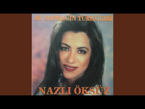 Video Yükleniyor...