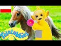 Teletubisie Po Polsku 73 DOBRA JAKOŚĆ Pełny Odcinek WildBrain