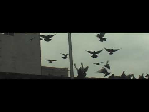 Video projected above Urban Flight School during training
